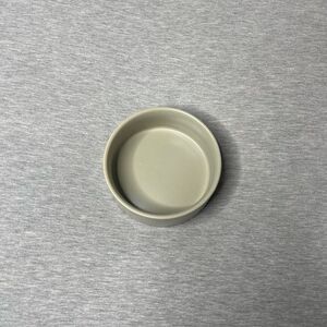 Target Beige Food & Water 5” Feeder Bowl